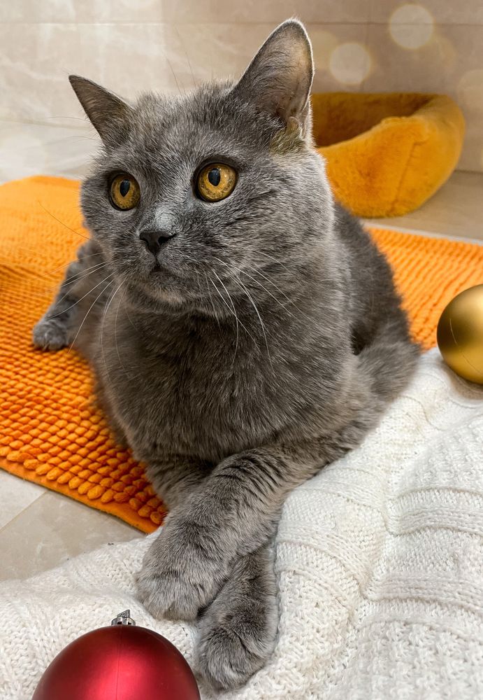 Фотография автора Рамзия Хисамутдинова