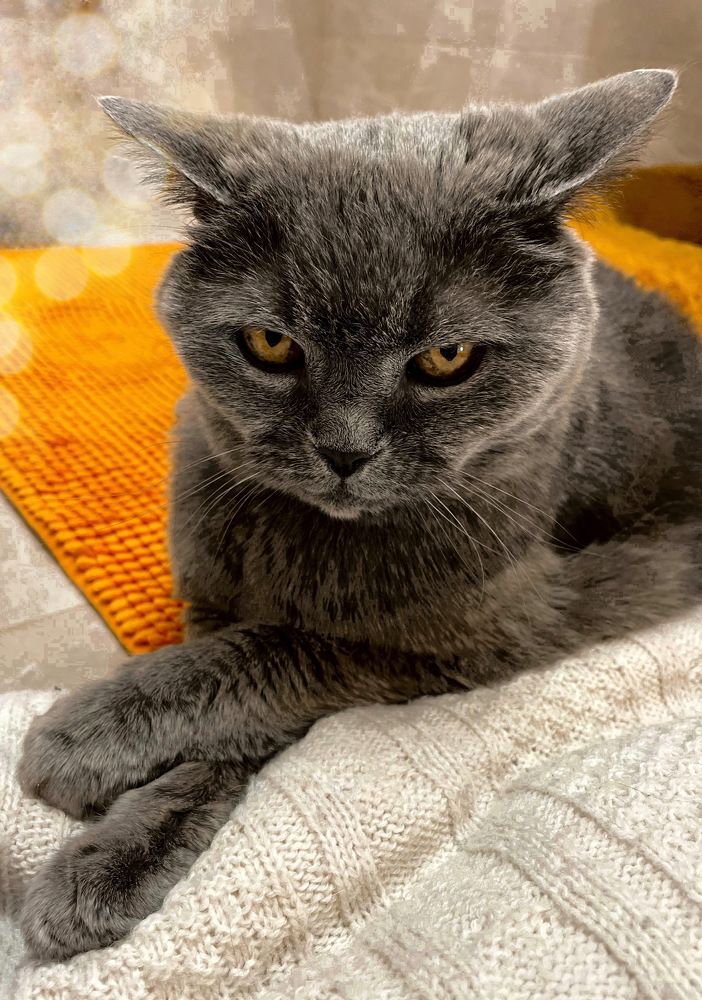 Фотография автора Рамзия Хисамутдинова