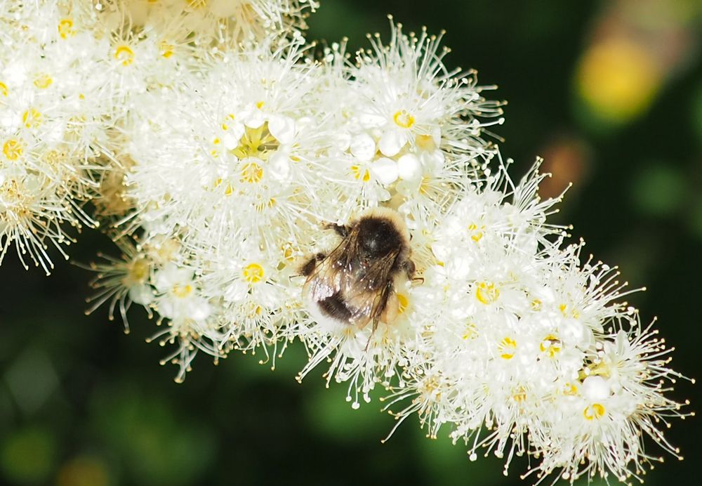 Photograph by МАрина Соловьева