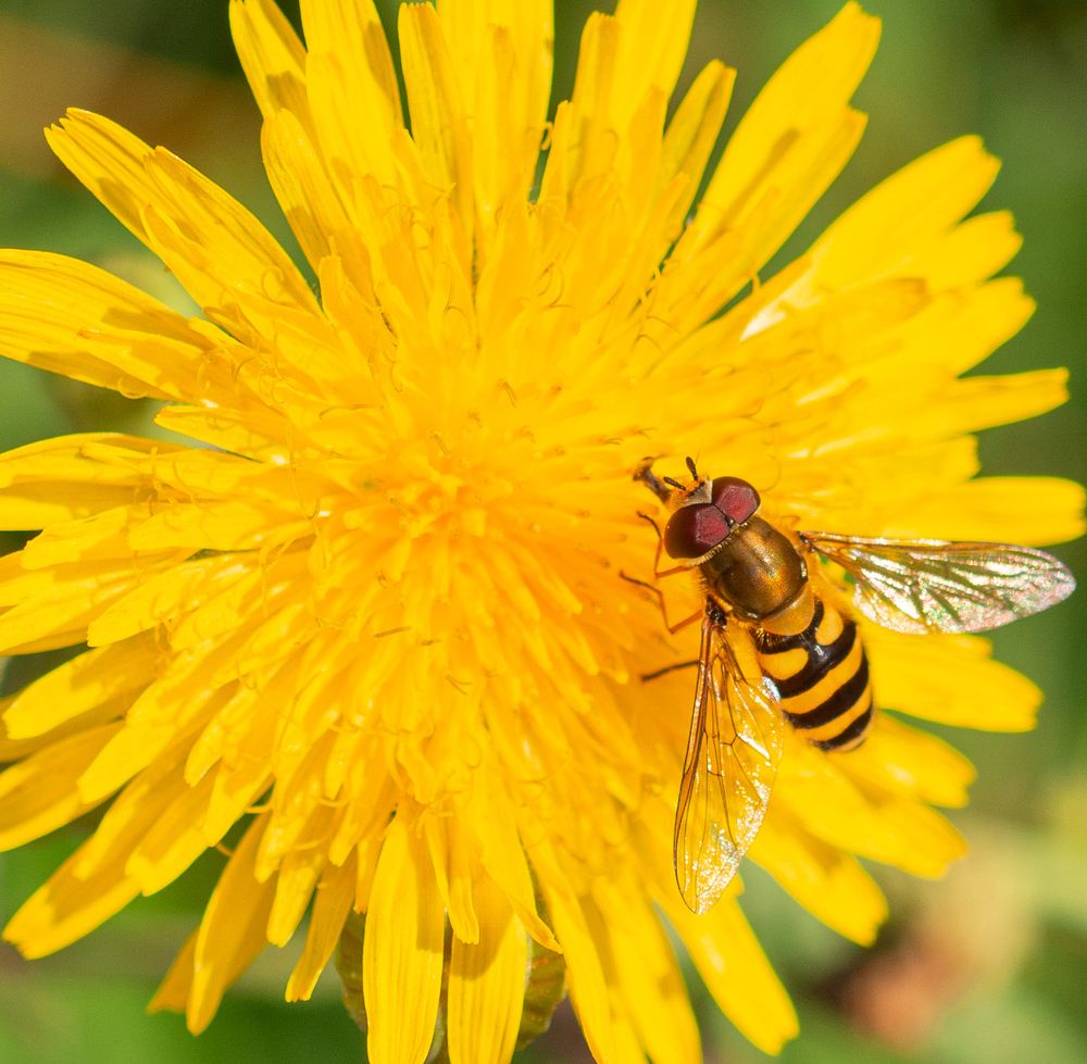 Photograph by МАрина Соловьева