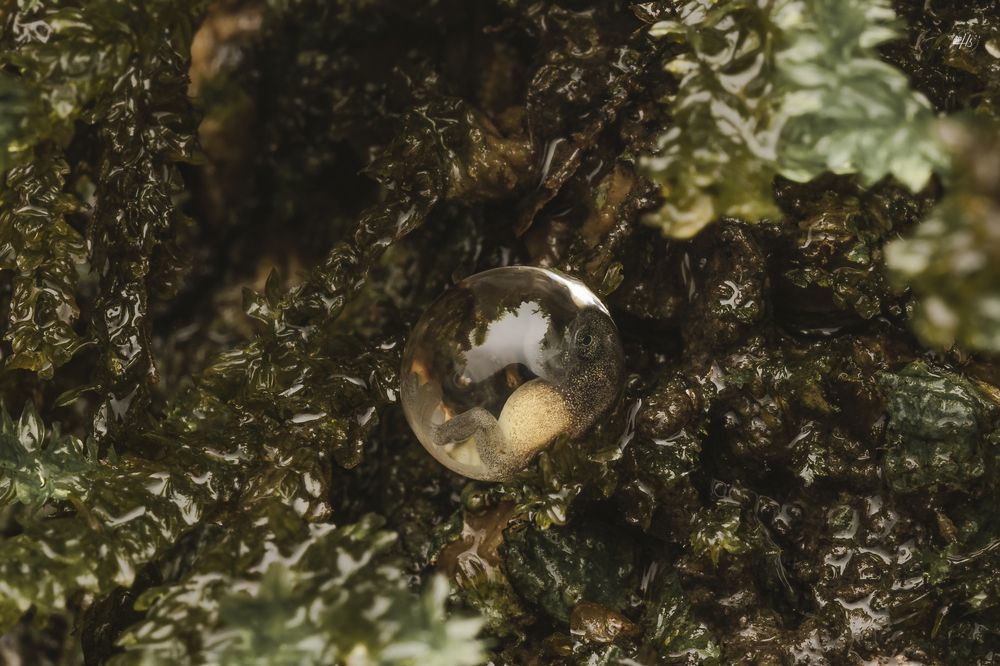 Photograph by Hardik Shah