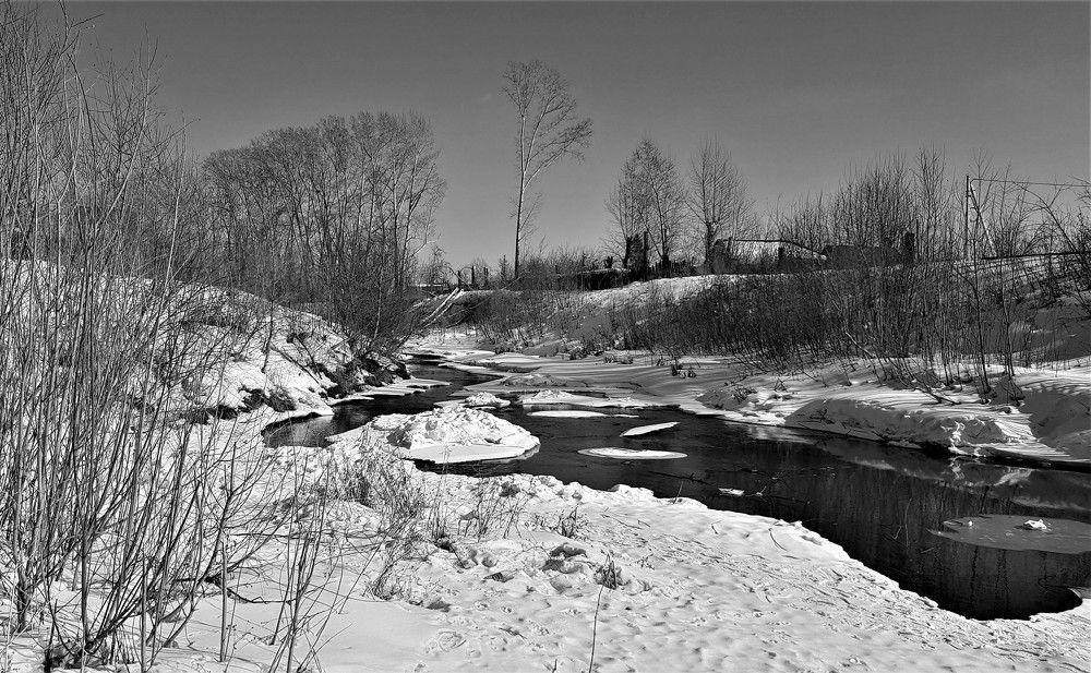Монохромное начало весны