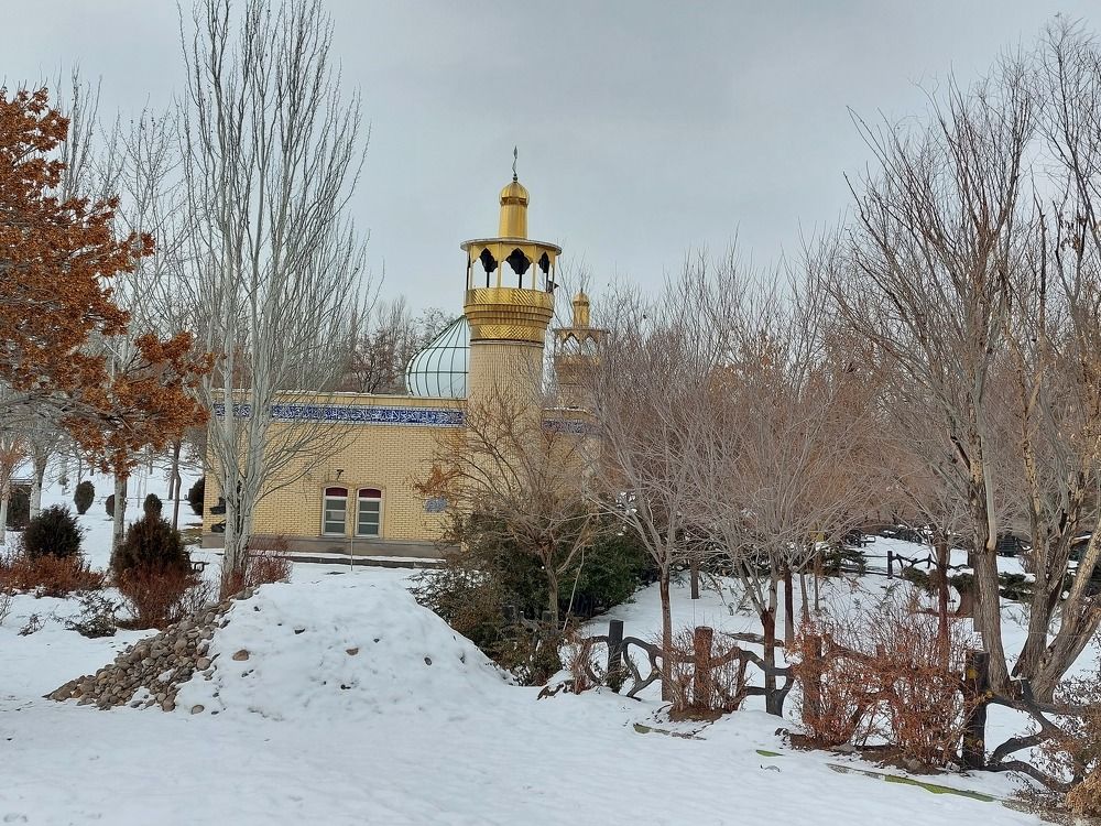 Фотография автора Neda Naserdost