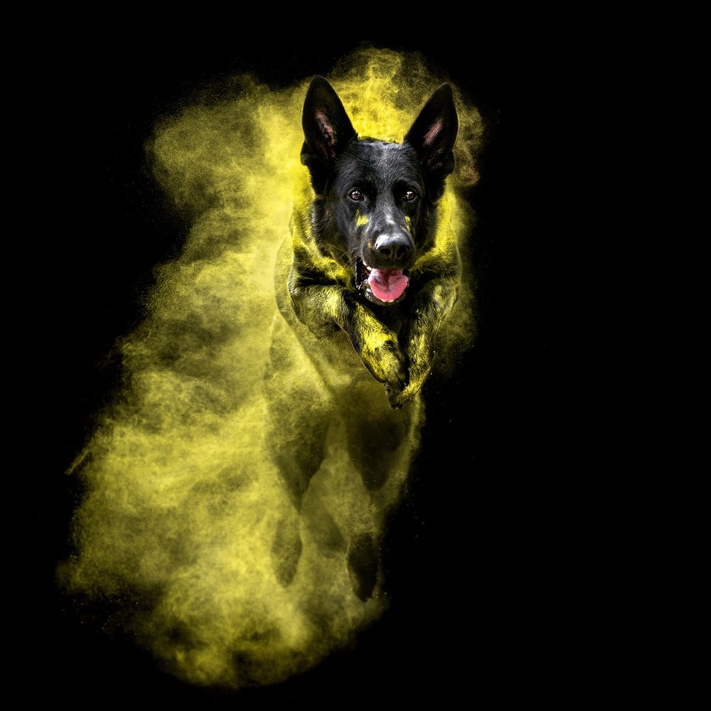 Фотография автора Оксана Серова