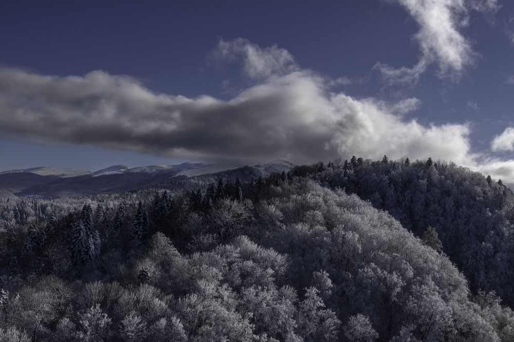 Photograph by Ирина Ульянова