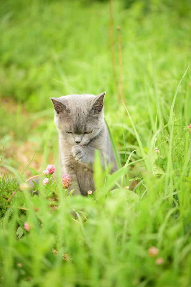 Photograph by Анна