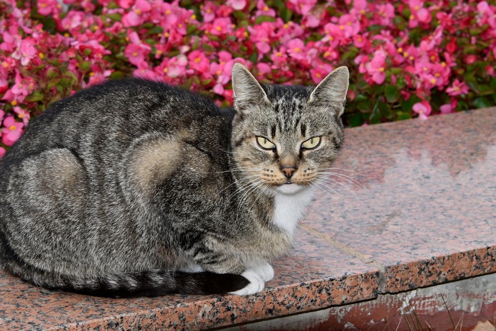 Photograph by Татьяна Калугина