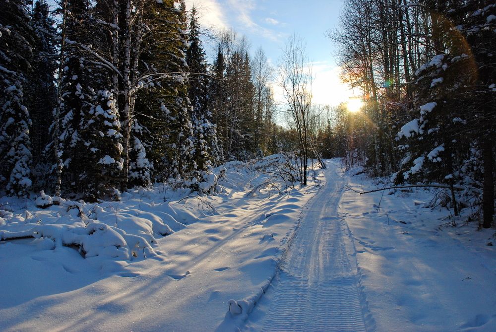 Фотография автора Сергей
