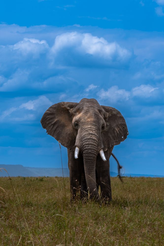 Photograph by Sunil Dhar