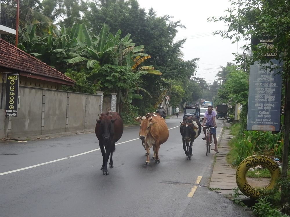 Photograph by Игнатова Марина