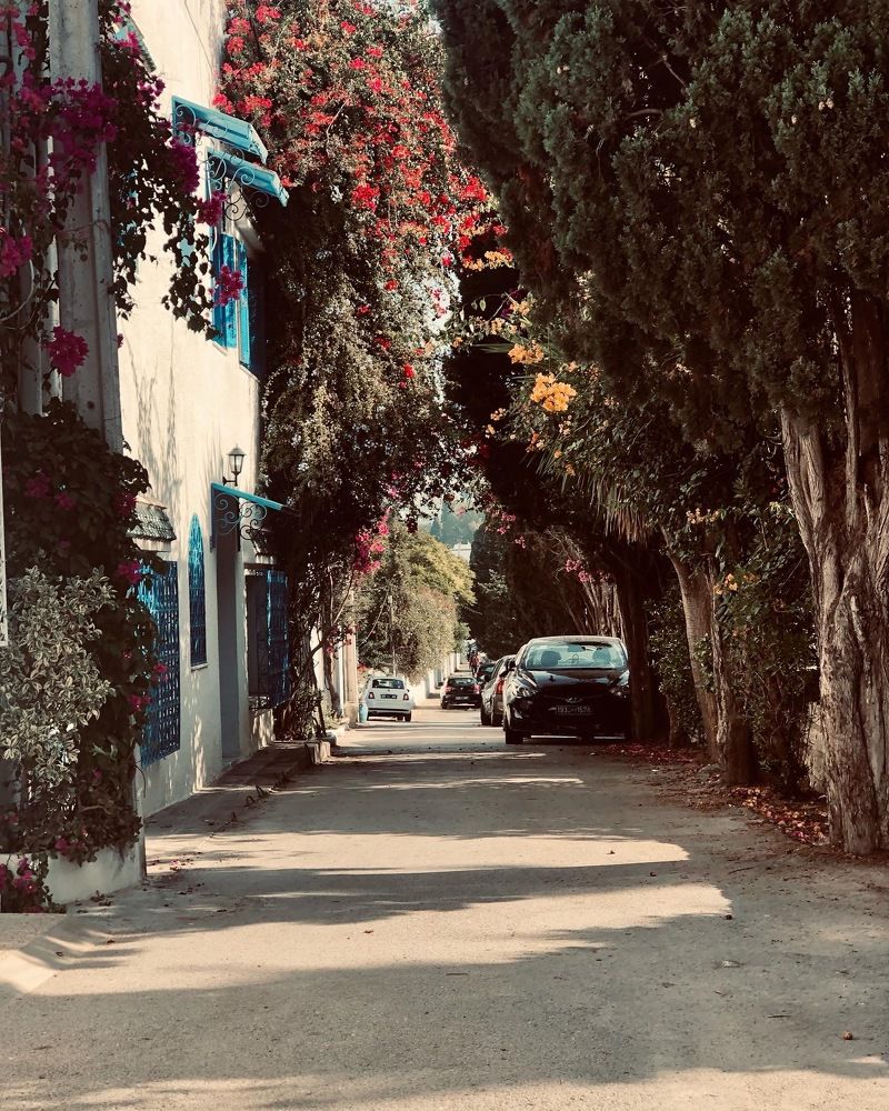 Photograph by Fatma Ezzahra