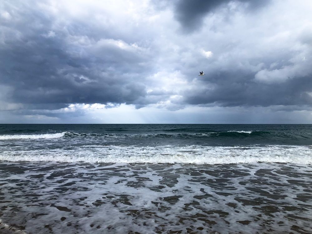 Photograph by Fatma Ezzahra