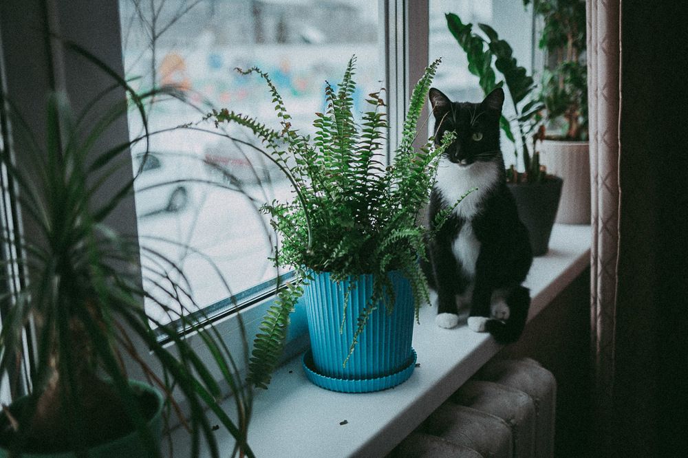 Photograph by Алена Полищук