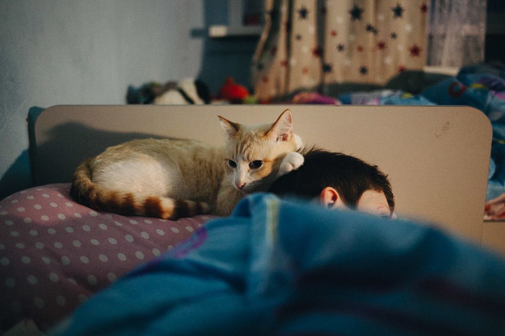 Photograph by Алена Полищук