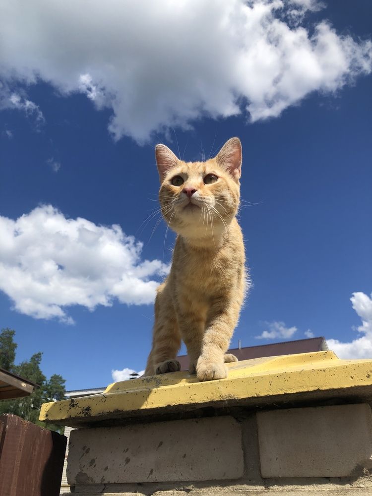 Photograph by Анастасия Дончук