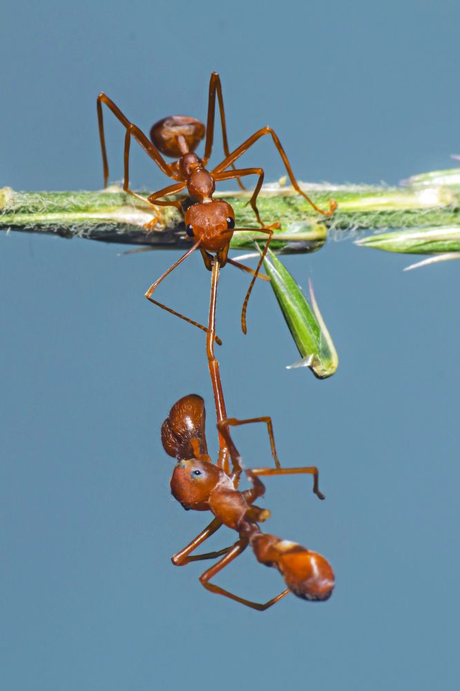 Фотография автора NeCoTi ChonTin