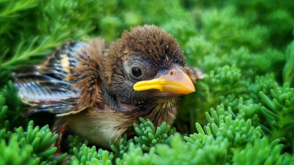 Photograph by Дмитрий Леонтенко