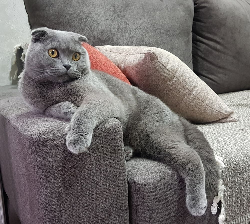 Photograph by Басалаев Евгений