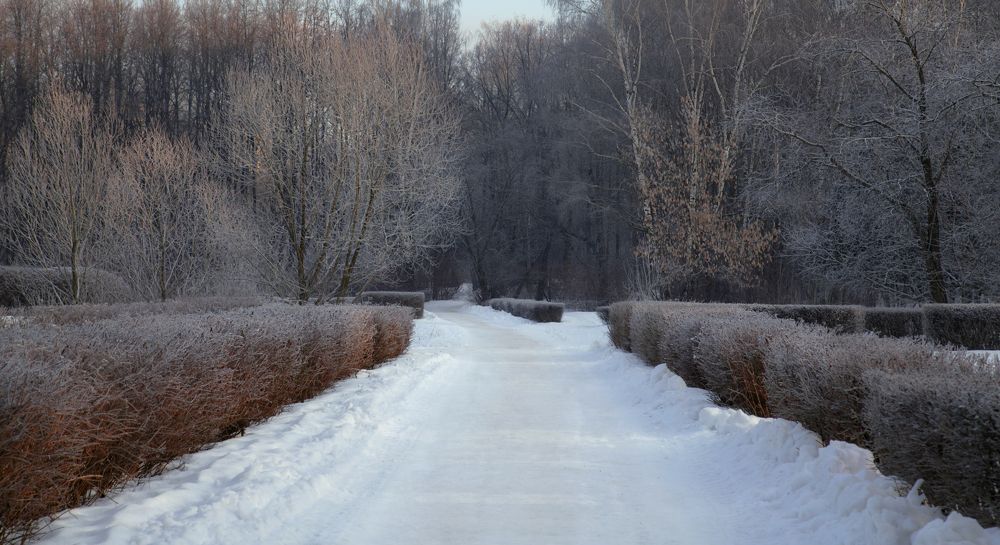 Photograph by Гречишникова Ксения