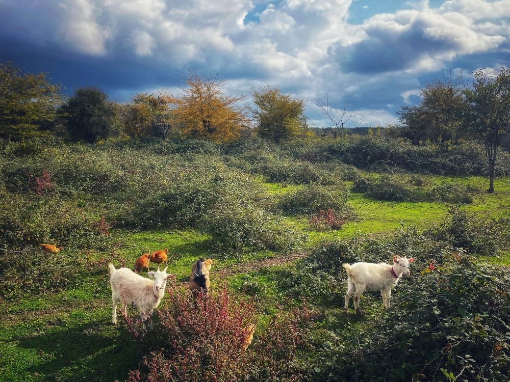 Photograph by Елена Масленкова