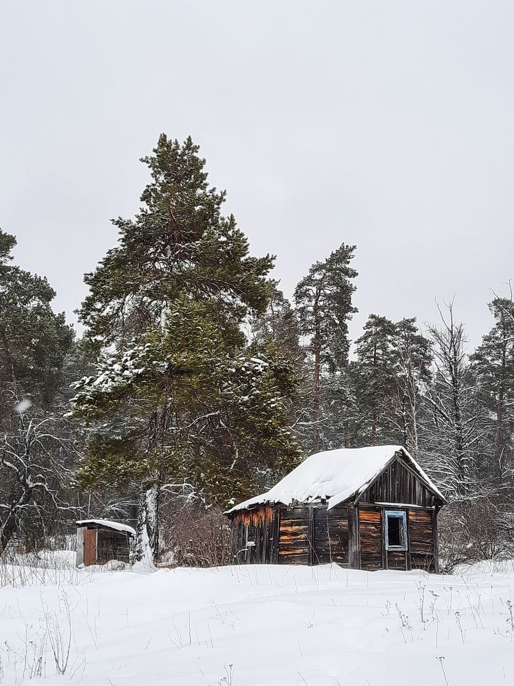 Photograph by Елена Масленкова