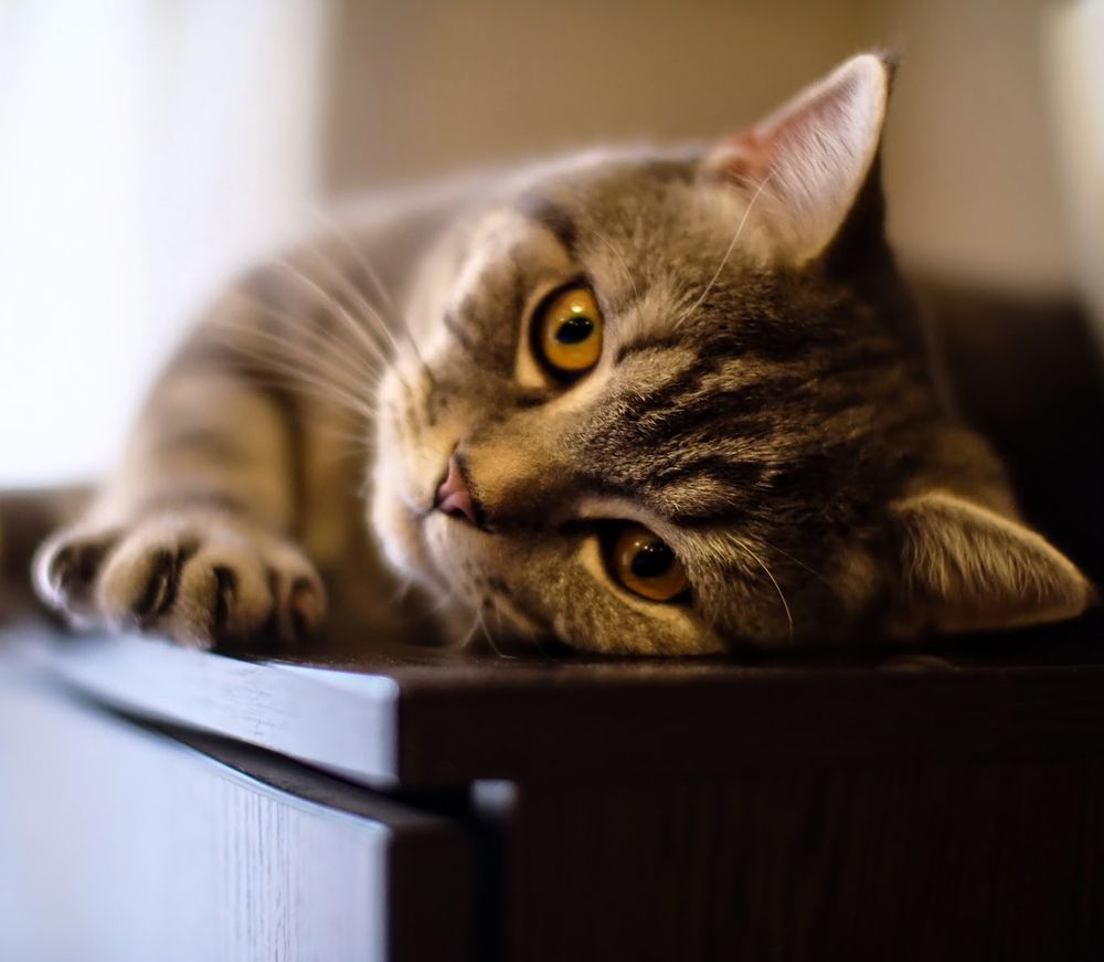 Photograph by alexander kryuchkov