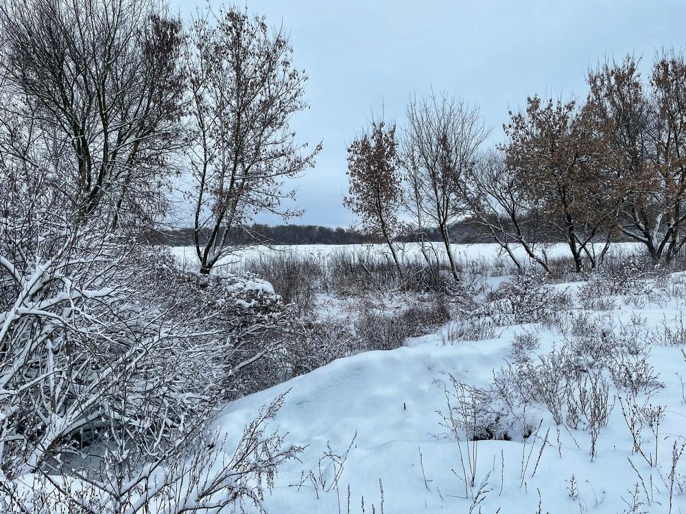 Photograph by Елена Масленкова