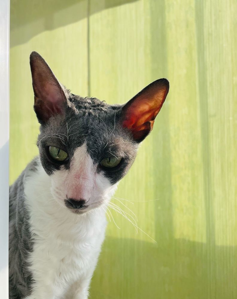 Photograph by Елена Масленкова