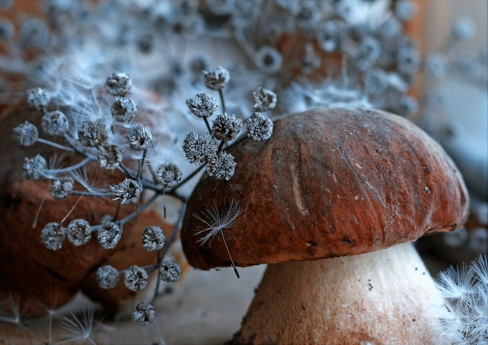 Photograph by Ирина Ахбаш