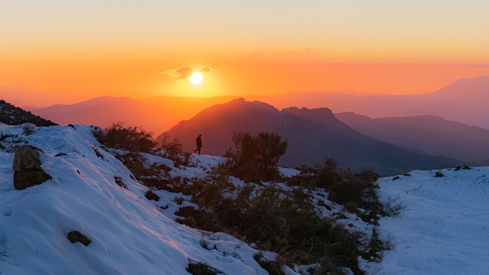 Photograph by MADJID MESSAOUD KHELIFI