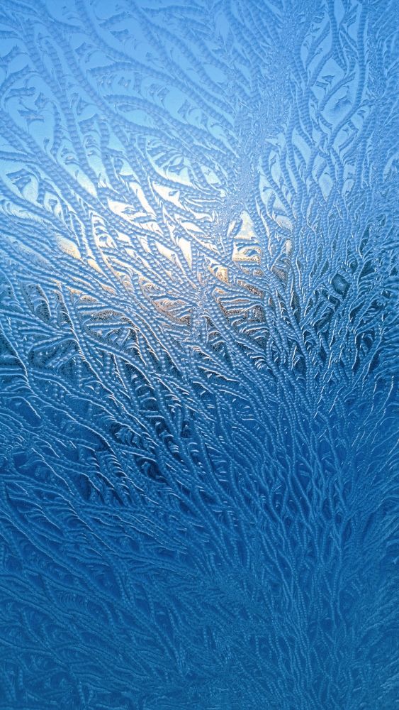 Photograph by Samal Orazbaeva