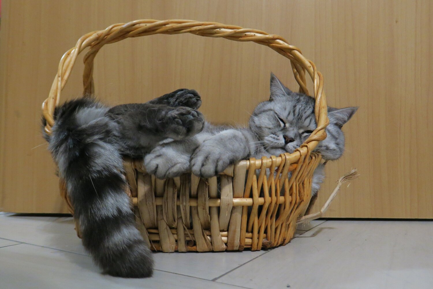 Послеобеденный сон)