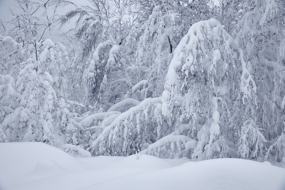 Photograph by Андрей Медведев