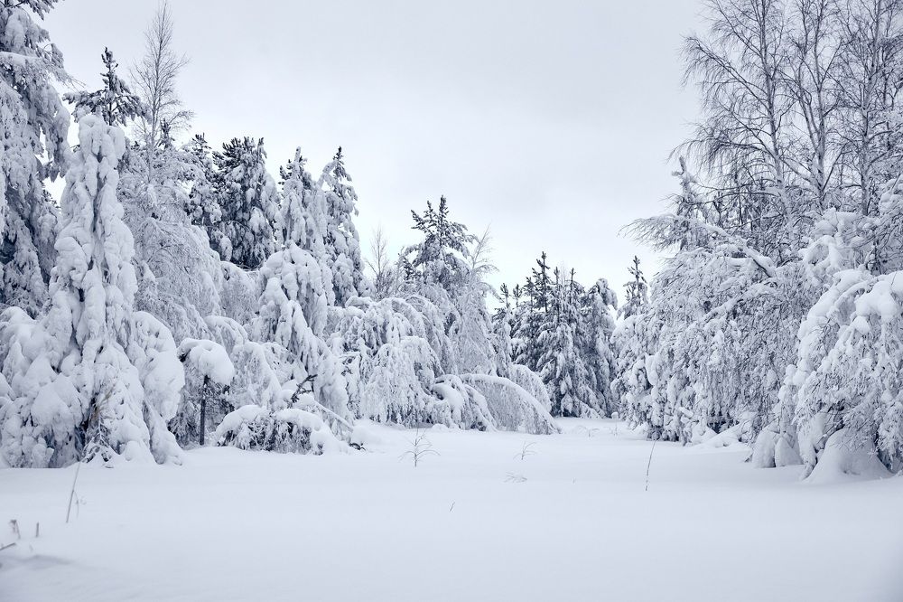 Photograph by Андрей Медведев