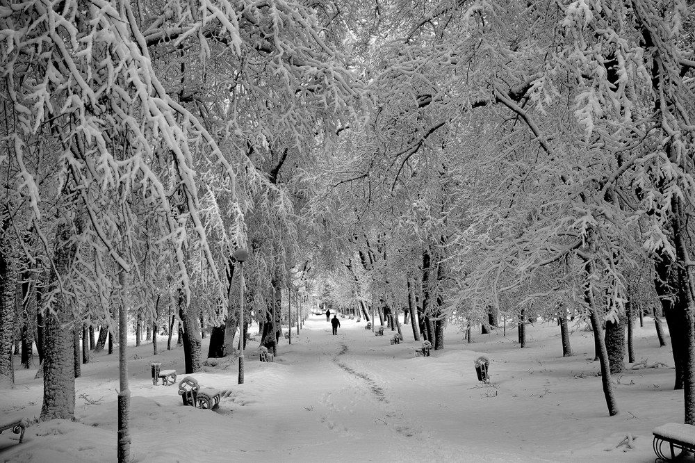 Photograph by Анатолий Хальман