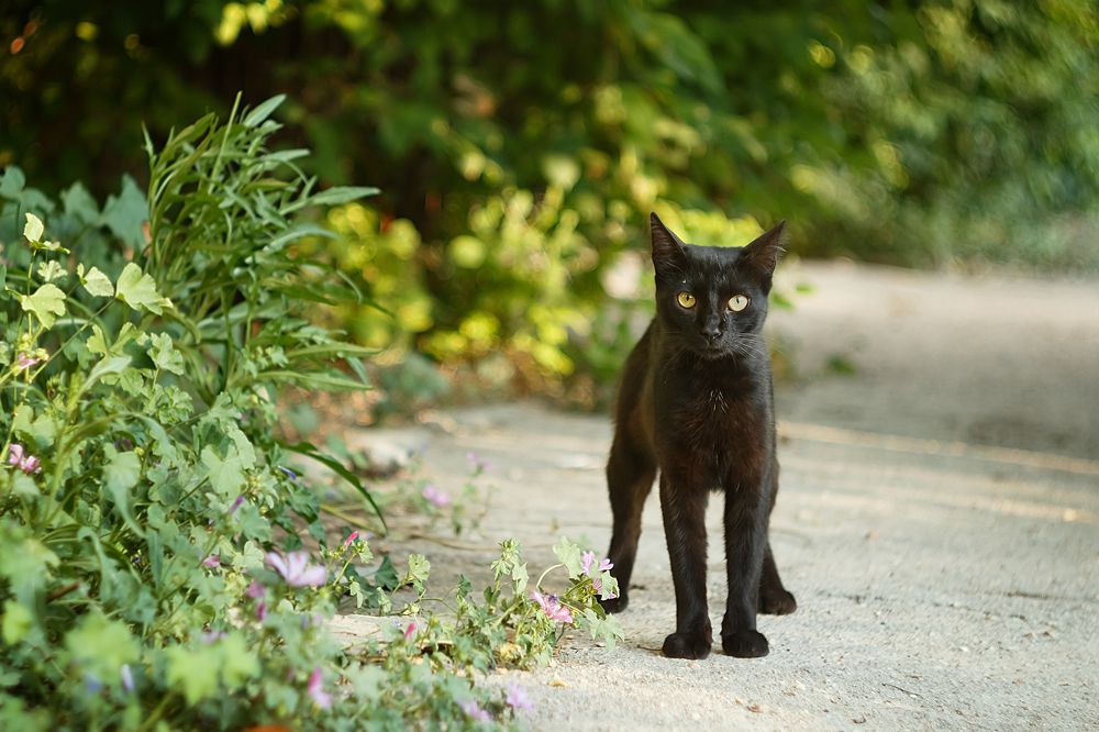 Photograph by Юлия Яремко