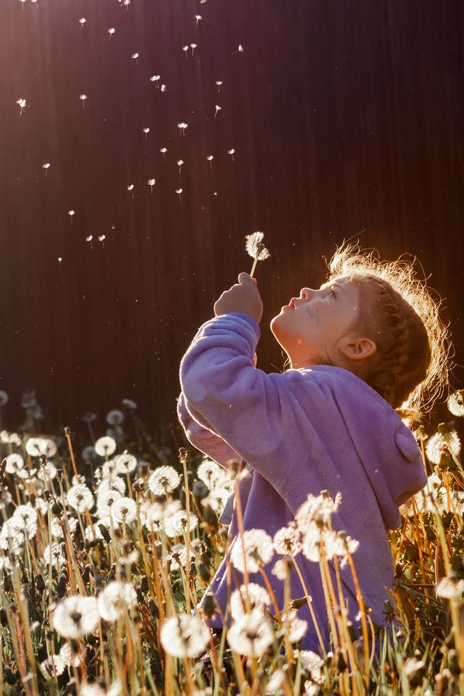 Photograph by Елена Лоцманова