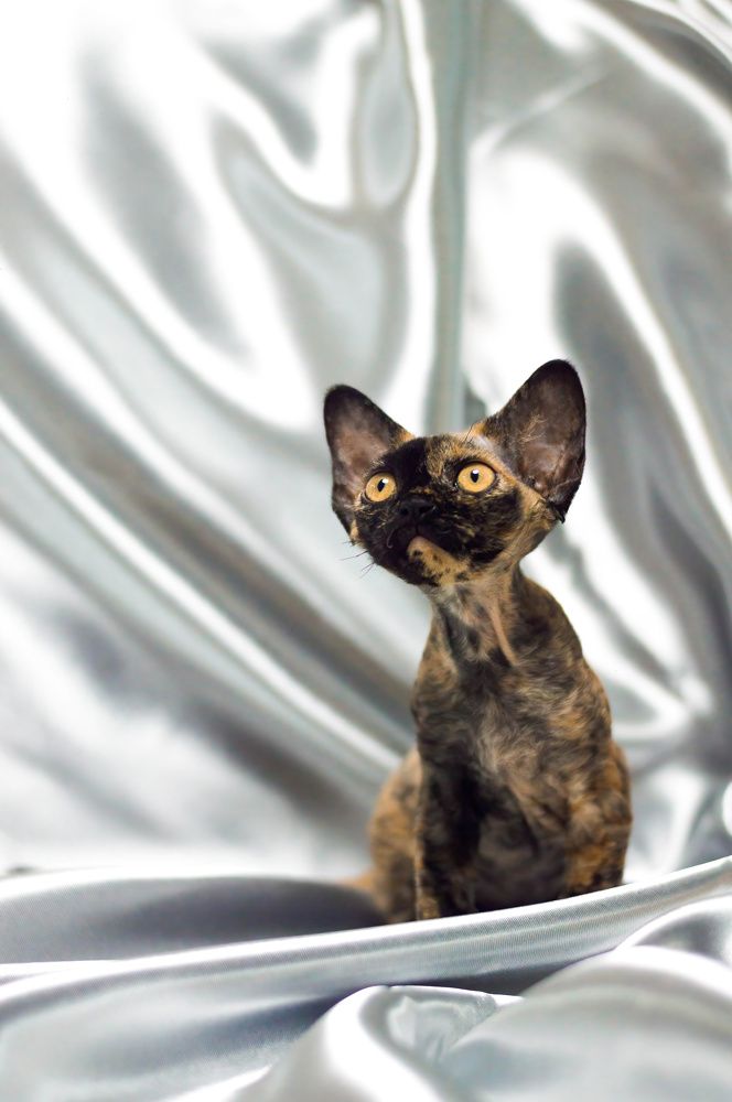 Photograph by Диана