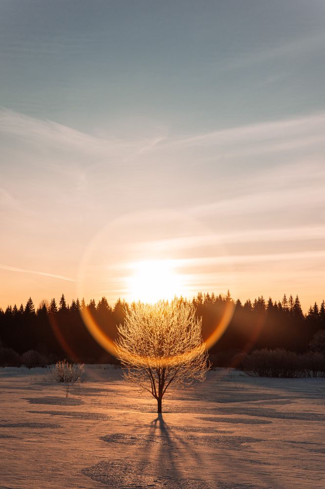 Photograph by Сергей