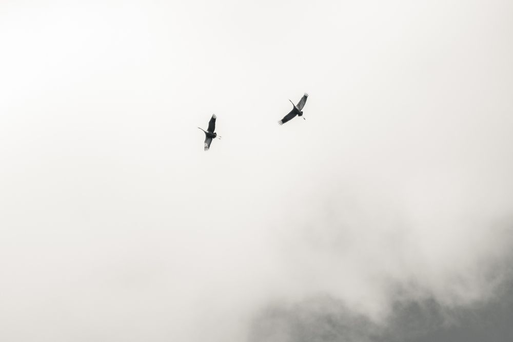 Photograph by Сергей