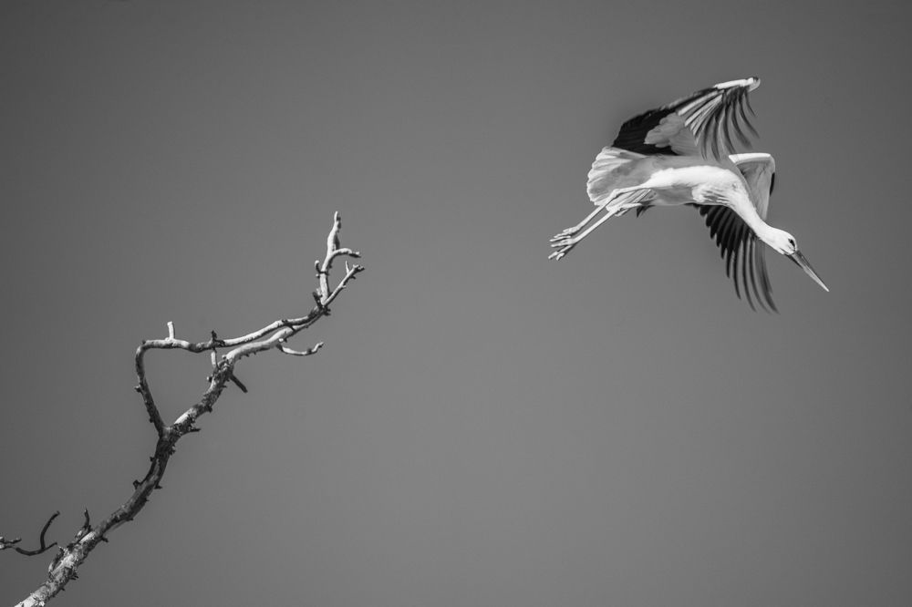 Photograph by José Antonio Gómez Mateo