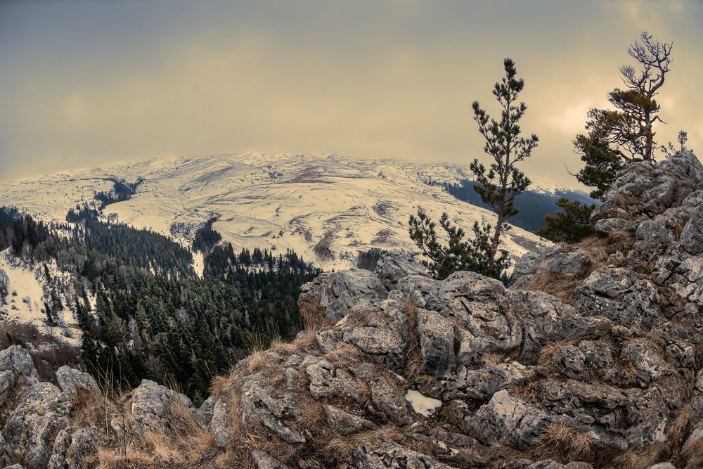 Photograph by Anatoly