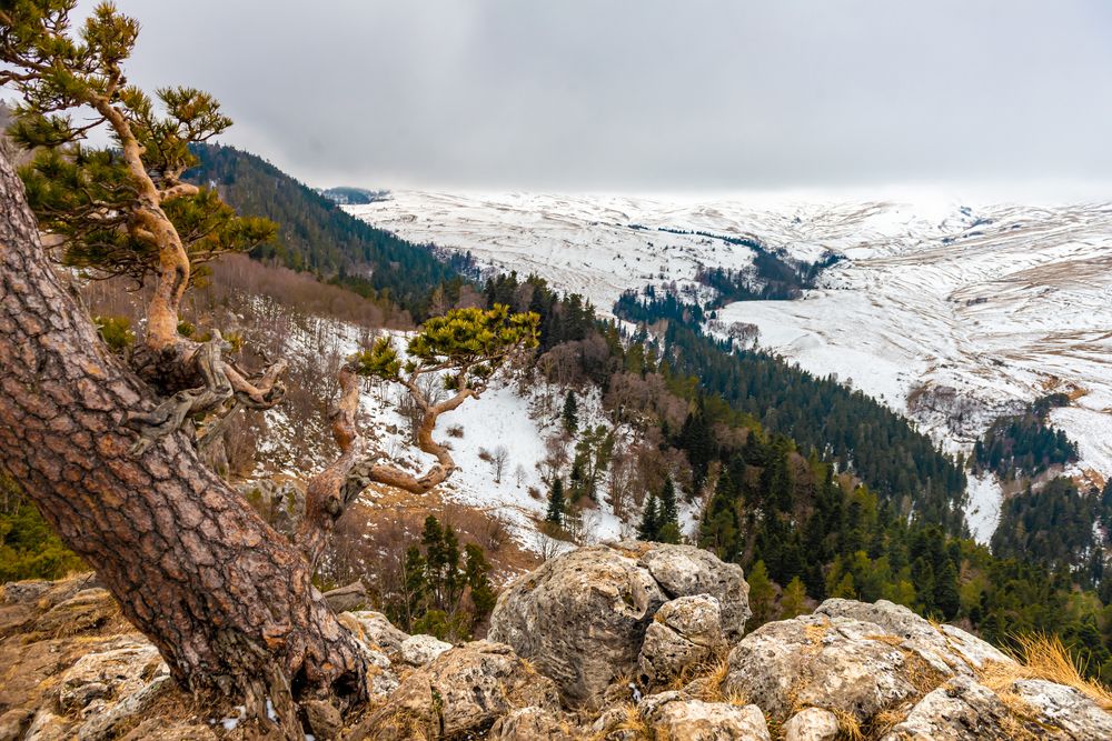 Photograph by Anatoly