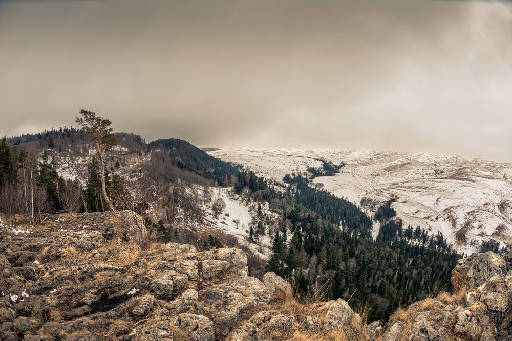 Photograph by Anatoly