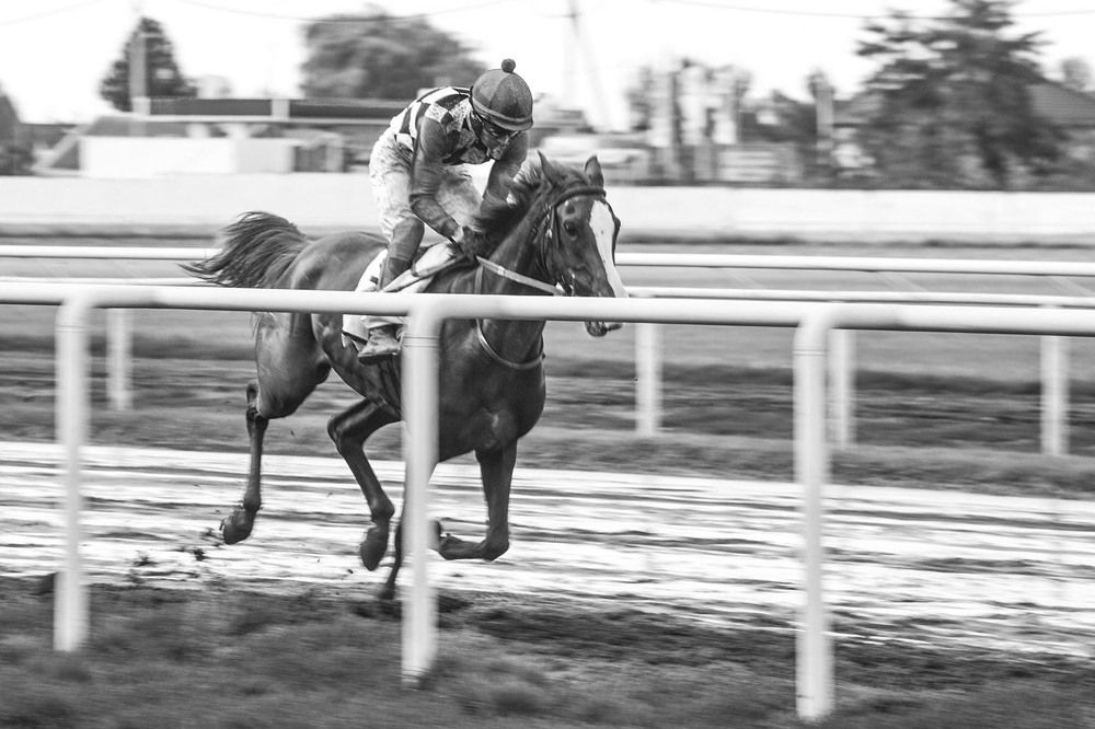 Photograph by Екатерина Сахно