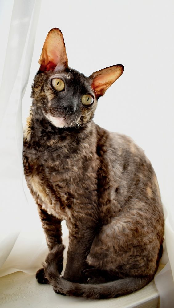 Photograph by Наталья Липко