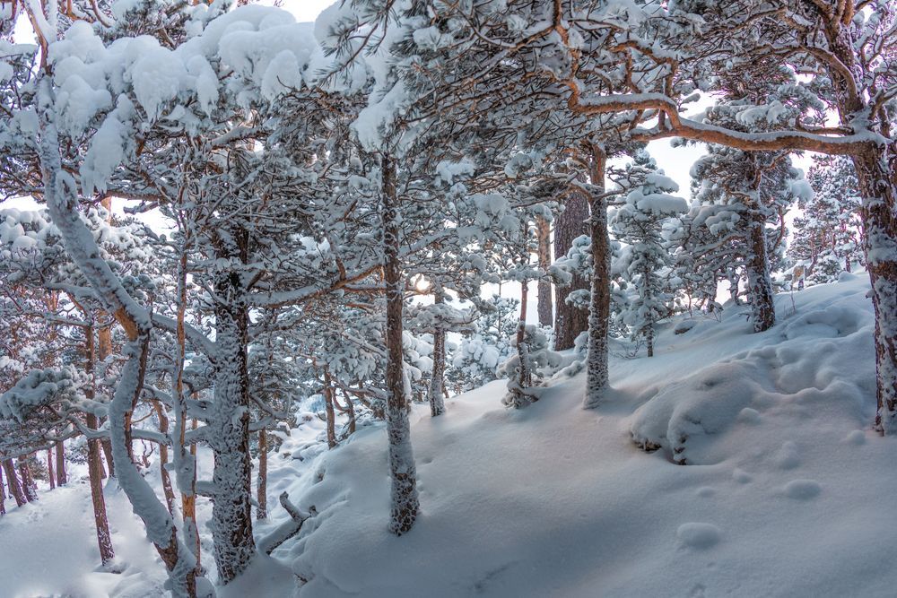 Photograph by Anatoly