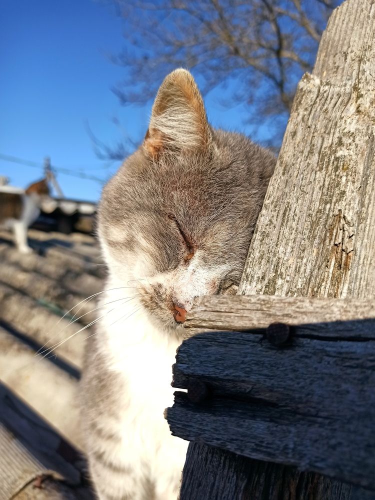 Photograph by Татьяна Долгушева