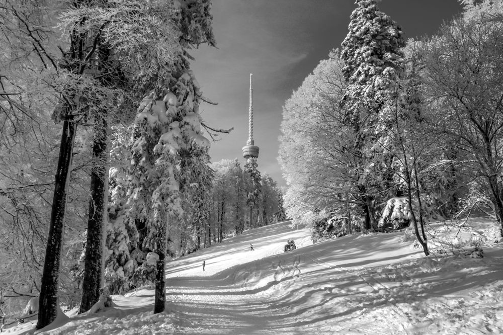 Фотография автора BRANKO BALAŠKO