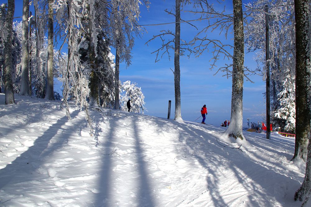 Фотография автора BRANKO BALAŠKO